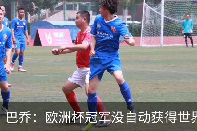 巴乔：欧洲杯冠军没自动获得世界杯资格 这是耻辱